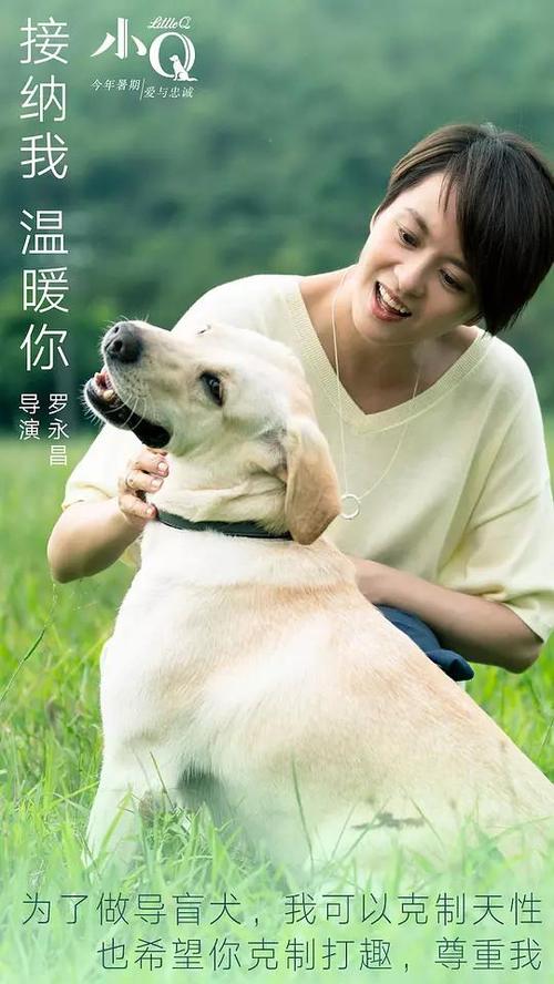 金门大学酒店管理毕业证